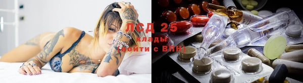 ПСИЛОЦИБИНОВЫЕ ГРИБЫ Остров