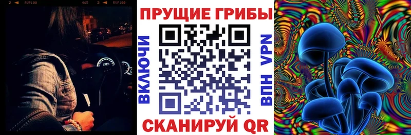 Псилоцибиновые грибы Cubensis  Палласовка 