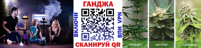 Конопля SATIVA & INDICA  мега как войти  Палласовка 